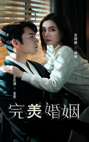 完美婚姻（65集）完整版免费观看