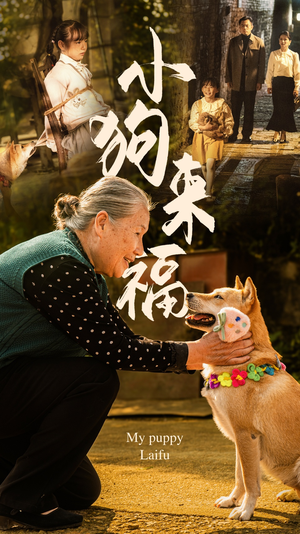 小狗来福（30集）在哪个app能看