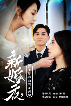 新婚夜，妻子要和白月光洞房（30集）夸克网盘在线看