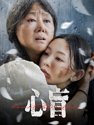 心盲（100集）精彩好看的短剧