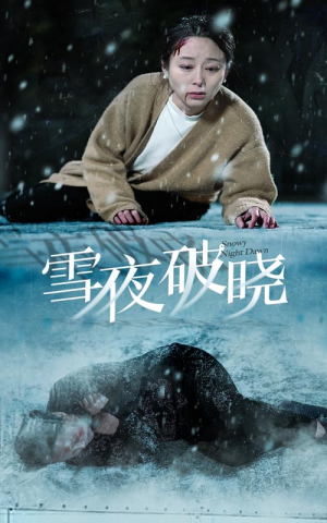 雪夜破晓（36集）精彩短剧随心推