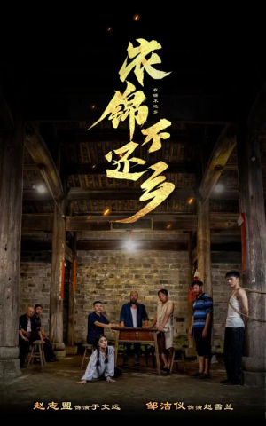 衣锦不还乡（69集）短剧太好看了吧