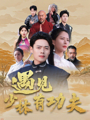遇见少林有功夫（36集）全集