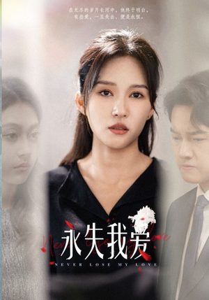 永失我爱（45集）全集在线看