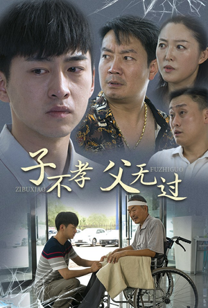 子不孝父无过（30集）精彩的短剧