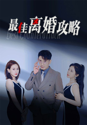 最佳离婚攻略（31集）演的怎么样