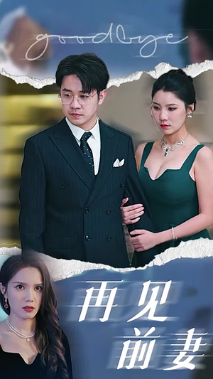 再见前妻（40集）最新热剧免费看