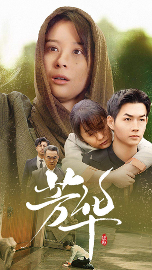 芳华（80集）在线看