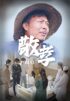 敬孝（61集）热门短剧抢先
