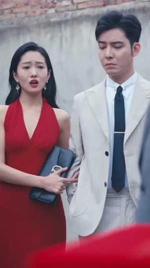 他的荣耀（合集）第二季