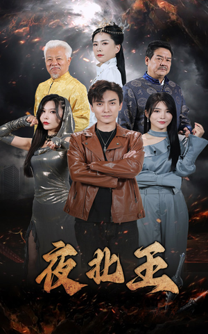 夜北王（76集）免费短剧大全