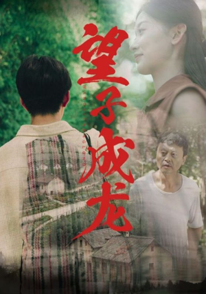 望子成龙（74集）在线观看全集
