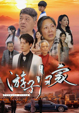 游子归家（88集）在线看完整版