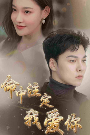 命中注定我爱你（75集）精彩短剧片段