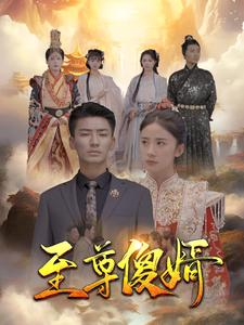 至尊傻婿（82集）战神短剧推荐