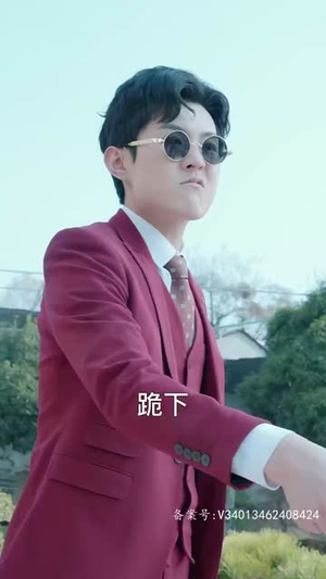 龙腾四海（80集）去哪里看