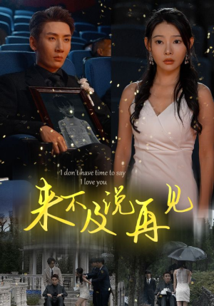 来不及说再见（30集）全剧免费观看
