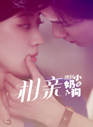 相亲遇到小奶狗（80集）高清画质免费看