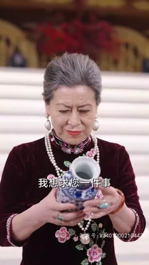 8.极品黄金眼（80集）第一季