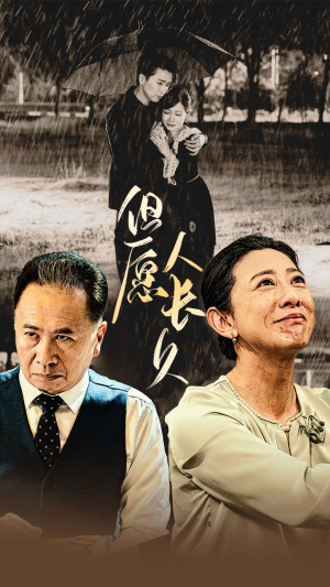 但愿人长久（80集）一口气追完全集