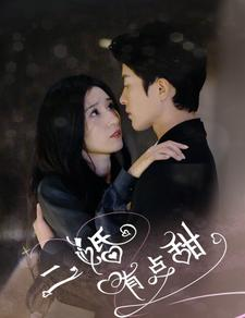 二婚有点甜（88集）追短剧太上头了