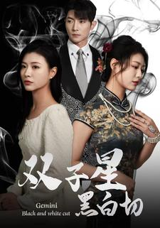 双子星黑白切（82集）分享热门短剧