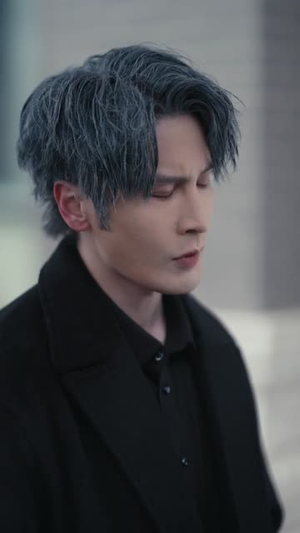 忠犬与野蔷薇（67集）短剧解说全集