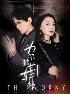 为你披荆斩棘（90集）短剧介绍