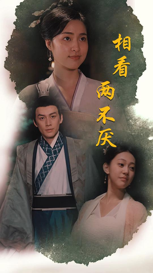 相看两不厌（85集）每日短剧分享