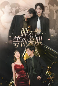 睡不着等你来哄（66集）免费在线看全集