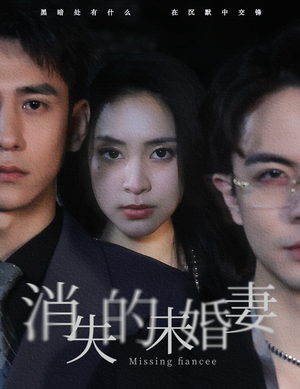 消失的未婚妻（82集）短剧热门合集