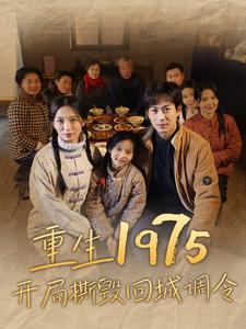 重生1975开局撕毁回城调令（83集）最新上映的短剧