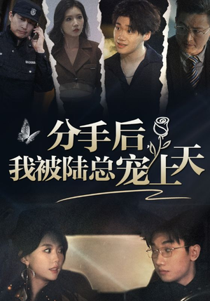 分手后，我被陆总宠上天（76集）热门短剧推荐