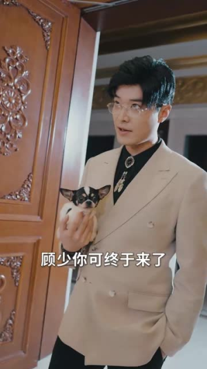 离婚当晚前妻脸被打肿了（60集）追短剧关注我