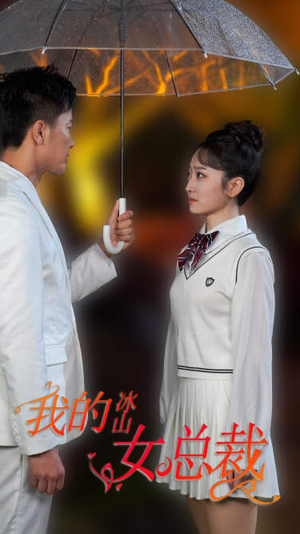 新版：我的冰山女总裁（78集）在线播放