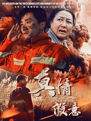 29.真情假意（62集）追风的女孩短剧