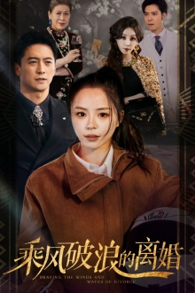 乘风破浪的离婚（83集）免费在线看全集