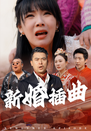 31.新婚插曲（29集）全季一次看完
