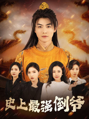 从天而降的无敌皇子（91集）全部免费看全集