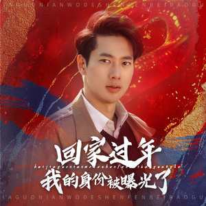 52.回家过年我的身份被曝光了（60集）免费观看