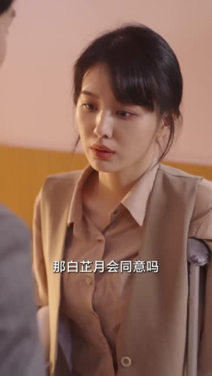 司少请恕夫人无罪（90集）高分佳作免费看
