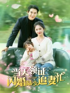 当天领证闪婚陆少追妻忙（80集）看到了大结局