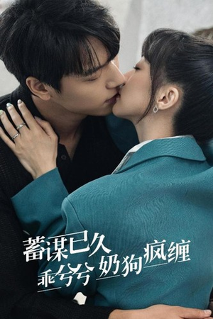 蓄谋已久，乖兮兮奶狗疯缠（94集）短剧热门合集