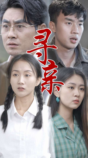 寻亲（35集）红果免费短剧
