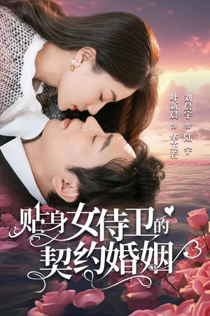 贴身女侍卫的契约婚姻（91集）短剧解说全集