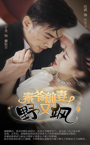 秦爷前妻野又飒（100集）全集一网打尽