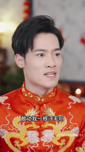 踏天（80集）每日短剧推荐