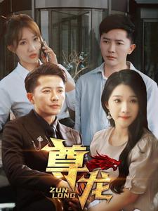 新版：尊龙（97集）短剧上头又好看
