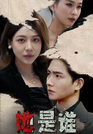 她是谁（79集）热播短剧全集看