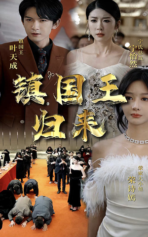 镇国王归来（95集）每天短剧分享